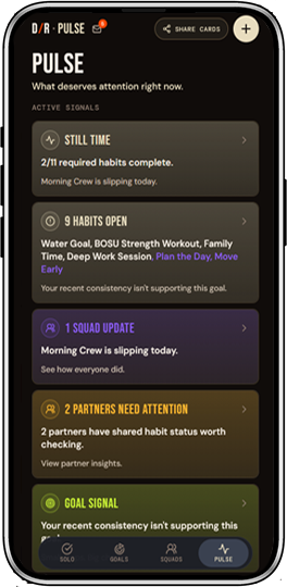 Example D/R Pulse view with remaining habits, Squad updates, Partner activity, and goal signals.